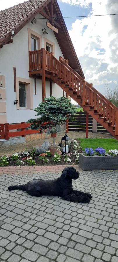 Liwa Garden Krzywa 11 Lägenhet Exteriör bild