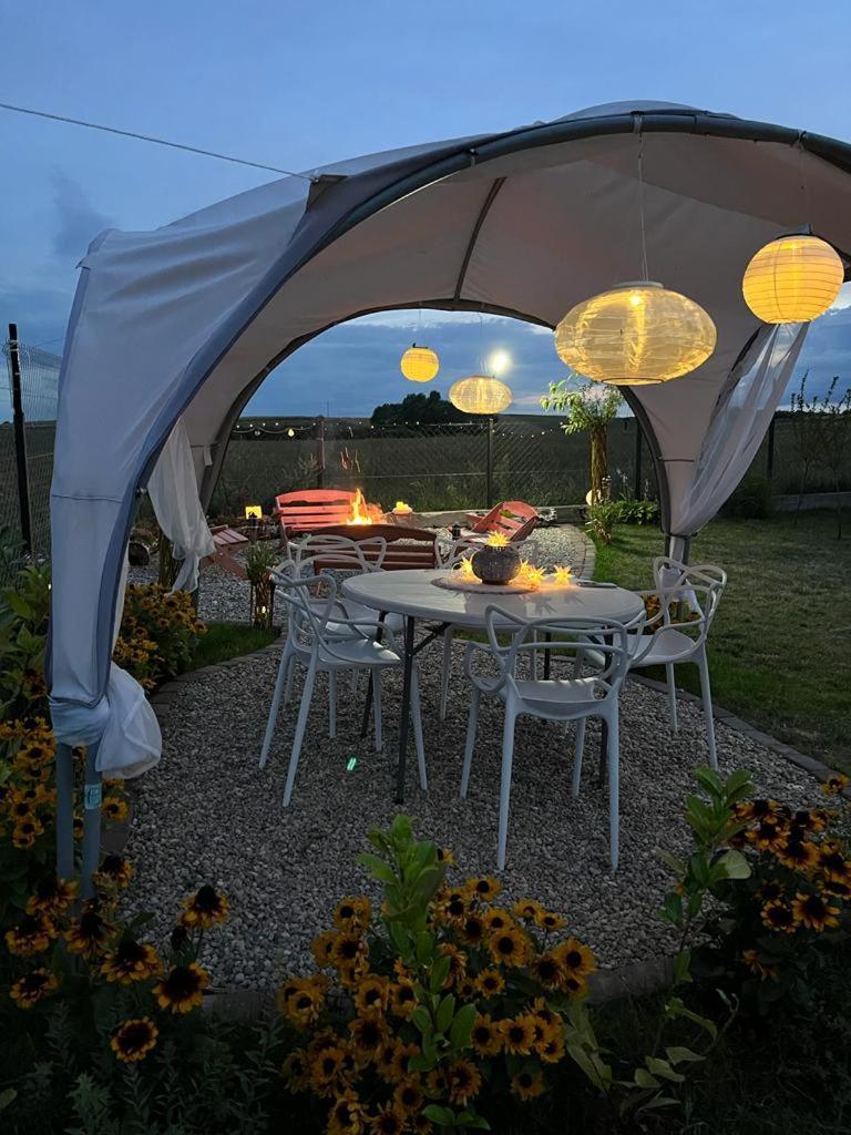 Liwa Garden Krzywa 11 Lägenhet Exteriör bild