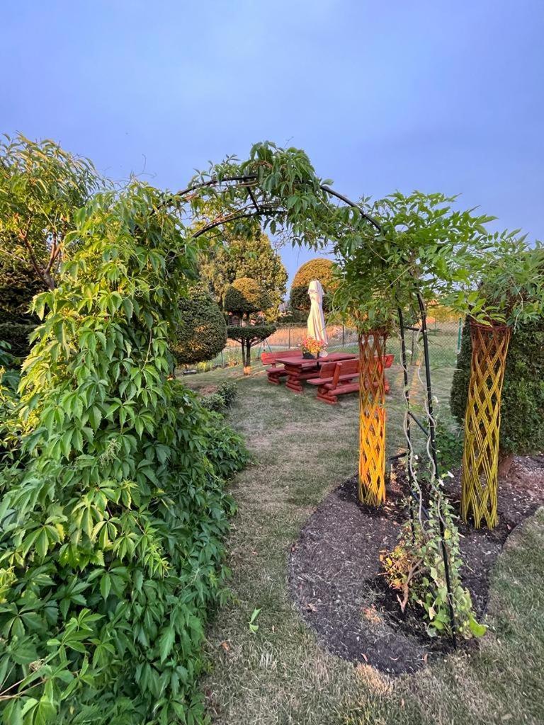Liwa Garden Krzywa 11 Lägenhet Exteriör bild